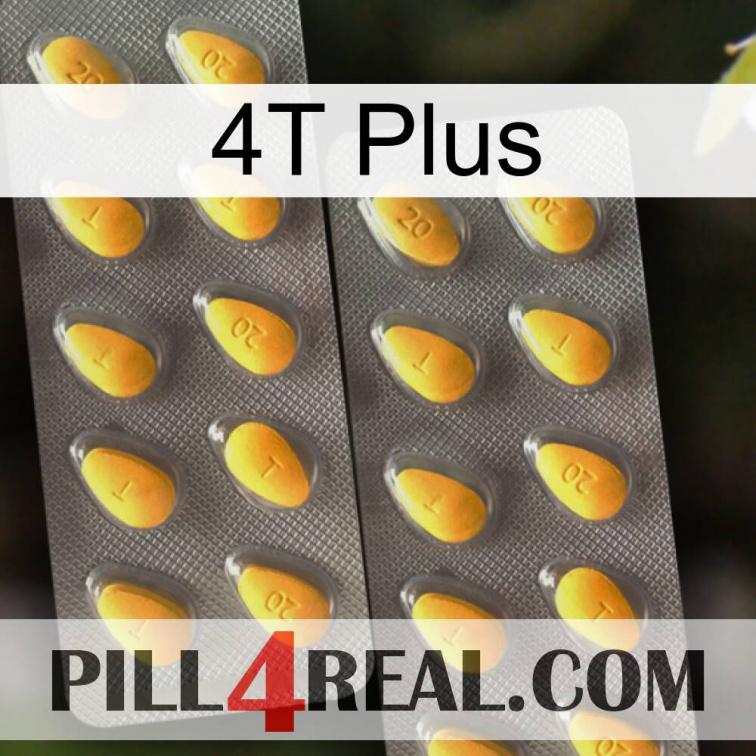 4T Plus cialis2